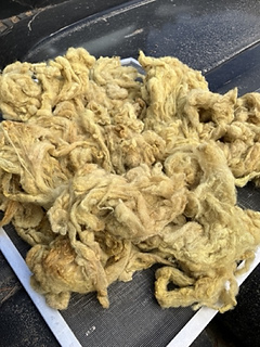 CA Red fleece dyed with toyon