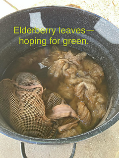 The camera picked up some green, but to the eye it looks like orange.