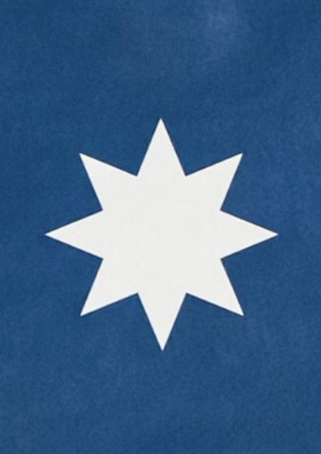 North Star Resistance Hat