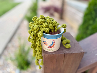 Ravelry: String of Pearls Plant pattern by Ashley Stallsworth