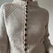 isa raglan cardi pattern