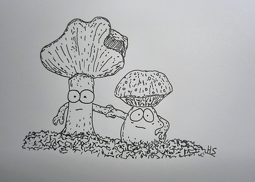 Mushroom or Fairy House? photo 9