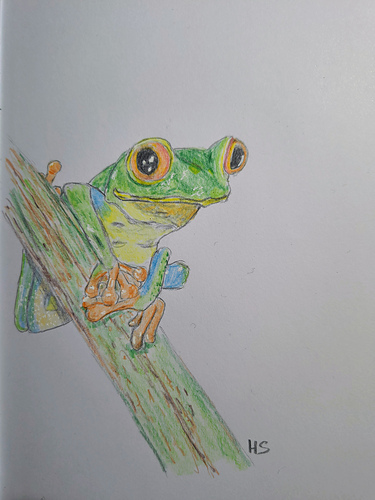 Froggie bag photo 9