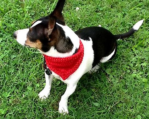 Pote-bandana - Leah Oakley Originals