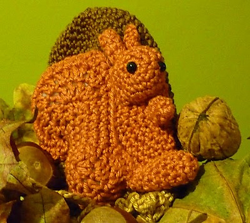 Cozy Squirrel photo 2