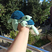 turtle pattern 