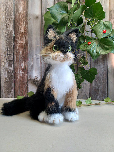 Realistisk fargerekke katt - Nataliia Gertsyk