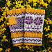 Eksis Mitts pattern 