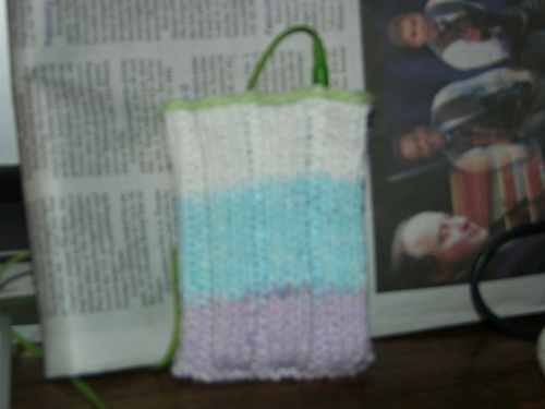 Ipod cozy for Joy 2
