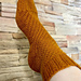 Vesta Socks pattern