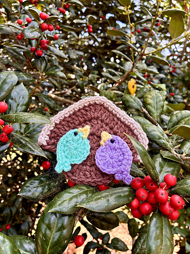 Nest Friends Forever