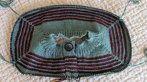A crewneck raglan with an integrated double knit buttonband