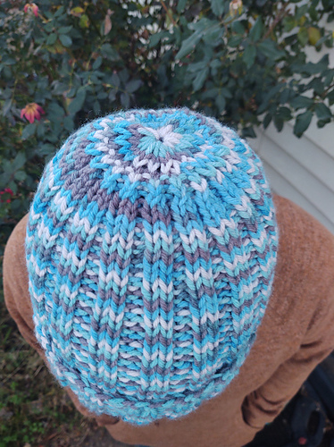 Beavertail Skully photo 3