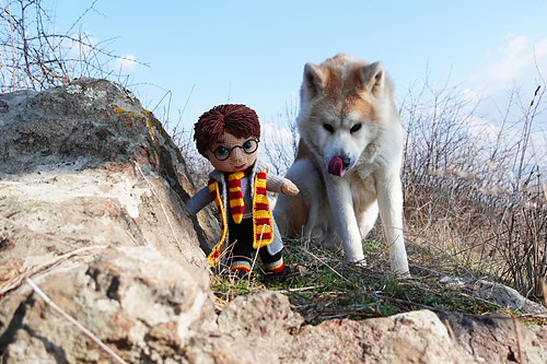 Harry Potter - Katia Chobanova