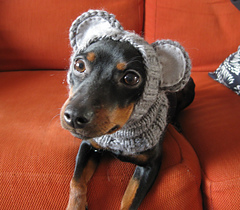 Ravelry To humiliate the dog pattern by Amoena Online