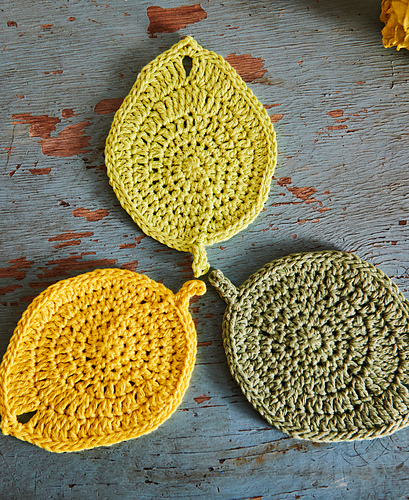 Leaf Coaster 다른 모습 2