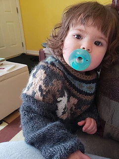 Unity Sweater (included)