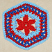 Granny Hexagon With Flower Center photo 3
