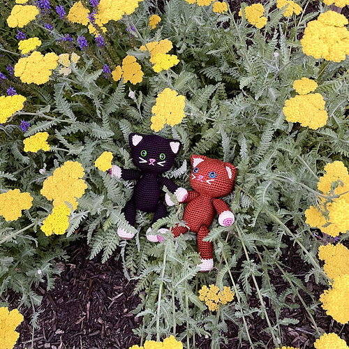 Kelly the Kitten - Abigail McClain Gomez