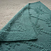 Frost flowers baby blanket pattern 