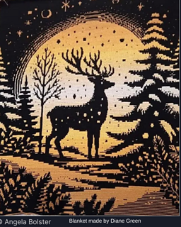 Blanket credit: Diane Green