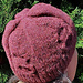 Fiddle-Touque pattern 