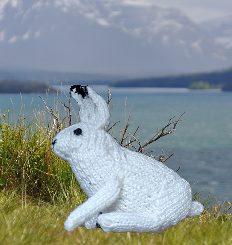Arktiske dyr - Viv's Knits