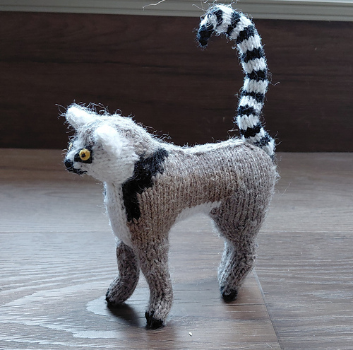 Ring-tailed lemur
