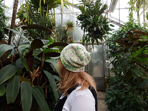 Dragon Pox Lue - Anna-Lena Jäger