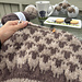 Sausank genser Voksen pattern 