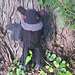 Folklore Collection: Richard the Mothman pattern
