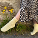 Sweet Buttercup Socks pattern 