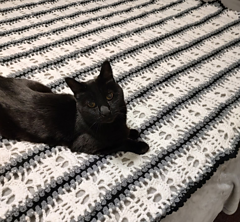 Photo provided by
Charlette Duke