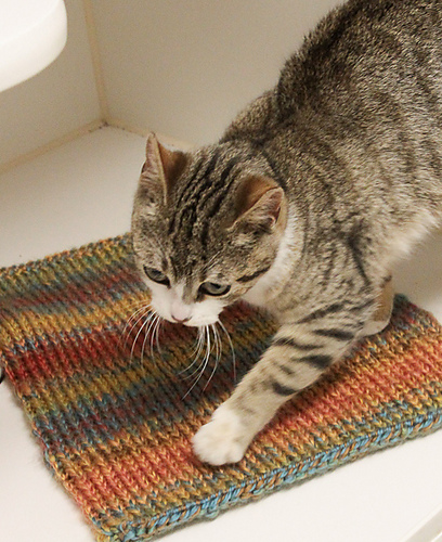 Gimme Shelter Kattepledd - AudKnits