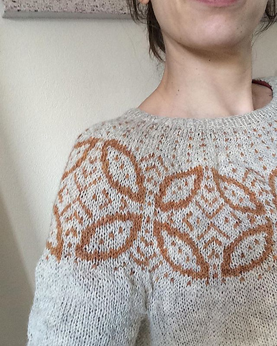 Longan photo 9