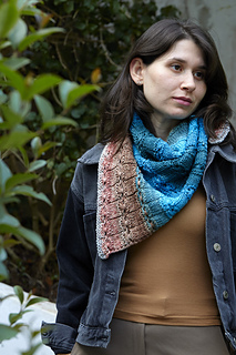 Gusto Wool Echoes Worsted in 4529