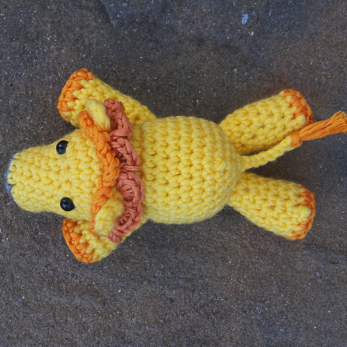 Napolion Lion photo 2