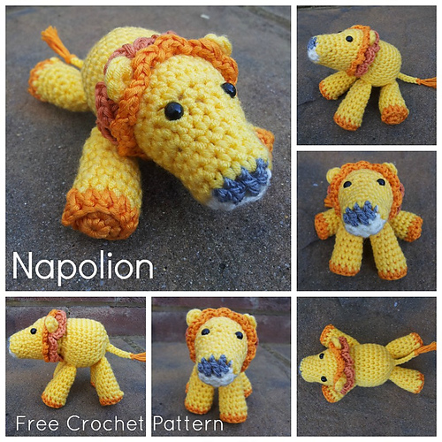 Napolion Lion photo 7