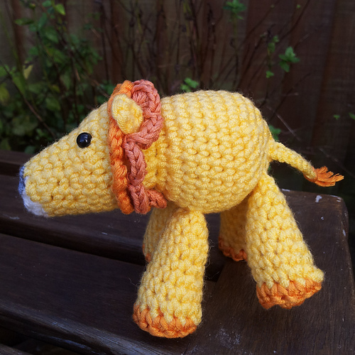 Napolion Lion photo 5