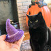 Halloween Witch Hat Cat Toy pattern