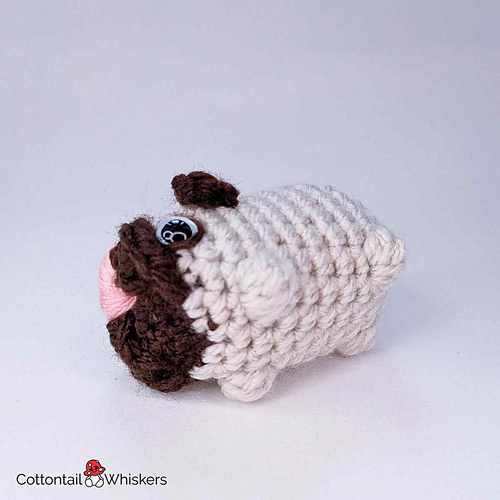 Mini Pug Hund - Bea King