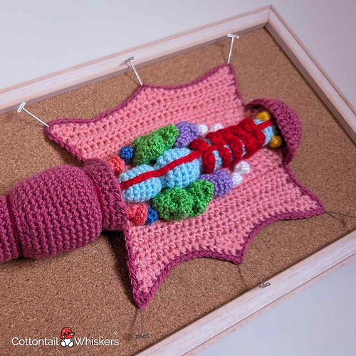 Ravelry: Earthworm Dissection pattern by Bea King