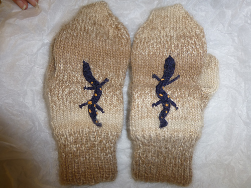Salamander Mitts photo 4