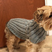 #1 Knit Ribbing Dog Sweater photo 3