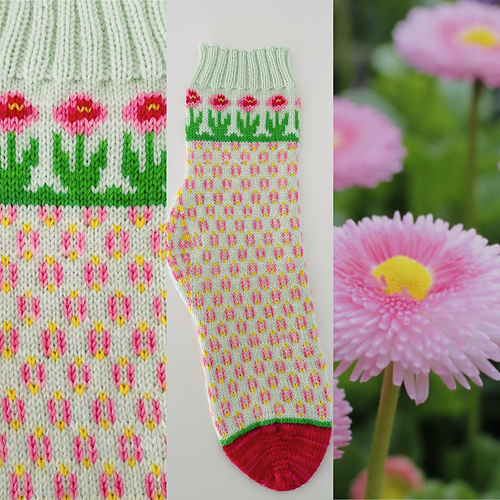 Bellis Socks photo 11