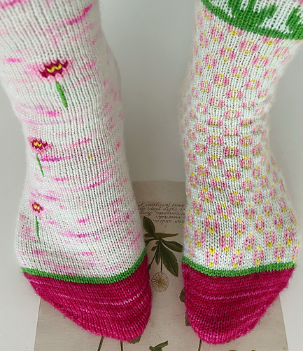 Bellis Socks photo 1