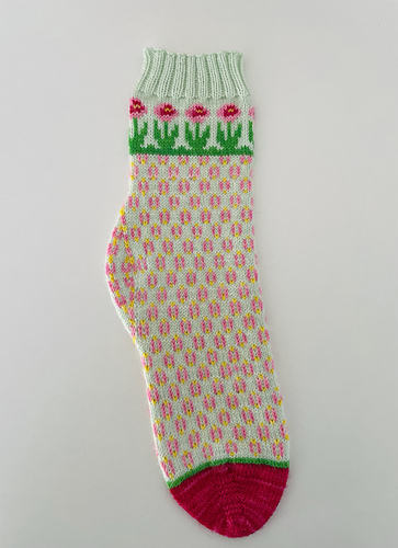 Bellis Socks photo 12
