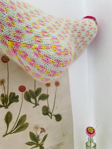 Bellis Socks photo 6