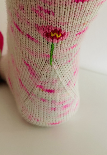 Bellis Socks photo 4