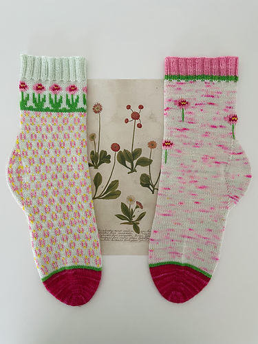 Bellis Socks photo 5